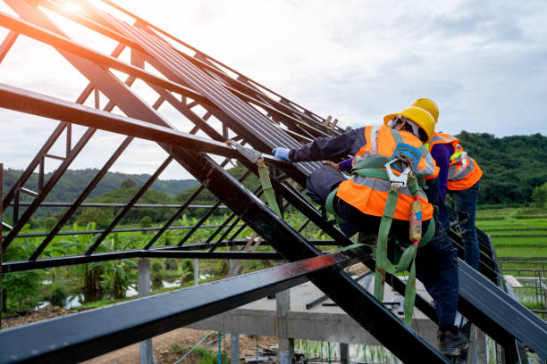 Best Shingle Roofing Installation  in Luck, WI