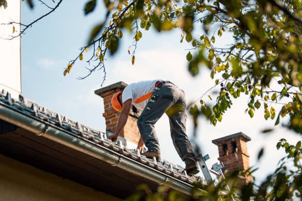 Best Residential Roofing Contractor  in Luck, WI
