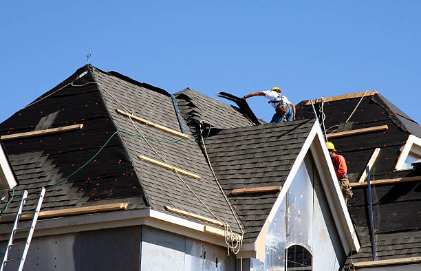 Best Roof Maintenance Services  in Luck, WI