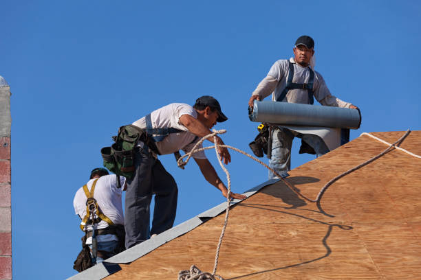 Best Emergency Roof Repair  in Luck, WI