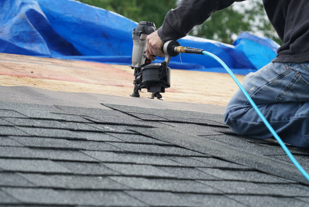 Best Metal Roofing Contractor  in Luck, WI