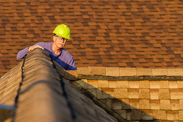 Best Roof Gutter Cleaning  in Luck, WI