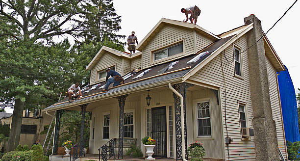 Best Roof Repair Services  in Luck, WI