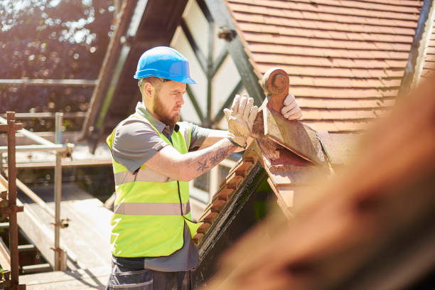 Best Commercial Roofing Services  in Luck, WI