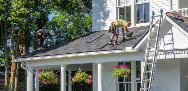 Best Roof Gutter Cleaning  in Luck, WI