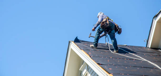 Best Storm Damage Roof Repair  in Luck, WI